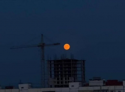 «Клубничную» Луну запечатлели в небе над Запорожьем