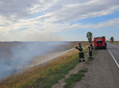 Особый противопожарный режим введен в Запорожской области