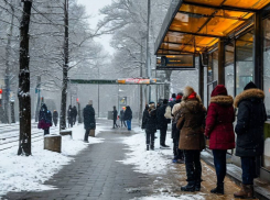 «Виновата мобилизация»: в подконтрольном Киеву Запорожье не хватает водителей автобусов