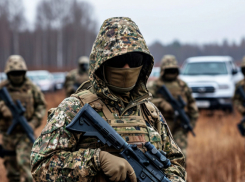 «Это катастрофа»: военные ВСУ признали потерю территорий на Запорожском фронте СВО