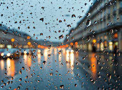 Осадки и усиление ветра ожидаются в Запорожской области