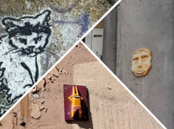 Кошки, заяц и лицо: самые необычные граффити запечатлели на улицах Запорожья