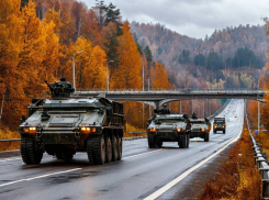 Сводка СВО за 18 марта: освобождение трёх запорожских сёл, попытка прорыва ВСУ в Белгороде и решение Путина и Трампа по ЗАЭС