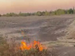 Деда-поджигателя сняли на видео в Запорожье