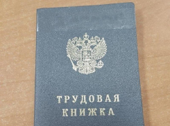 Порядок трудоустройства запорожцев упростили в правительстве РФ