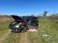 Авария с участием трёх автомобилей и мотоцикла произошла на трассе в Запорожской области