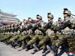 Стало известно, сколько бойцов КНДР готовы защищать Запорожскую область от ВСУ