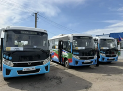 14 новых дополнительных автобусов вышли на линии в Веселовском округе