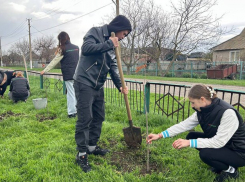 В Весёлом появилась аллея памяти в честь героев Великой Отечественной войны