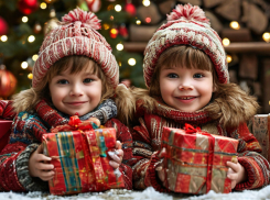 Дети из Приморского округа получат новогодние подарки из Мурманской области