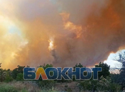 Появились кадры с места крупного пожара в запорожском селе Берестовое 