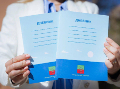 Что запорожские младшеклассники увидят в подаренных им дневниках, рассказал Балицкий