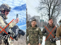 Австрийский солдат ВСУ ликвидирован на Запорожском фронте СВО