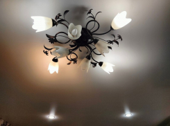 Один удар ВСУ лишил более тысячи человек электричества в Михайловском округе