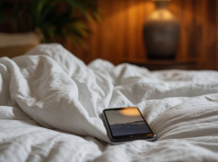 В Мелитополе мужчина украл телефон прямо из спальни местной жительницы