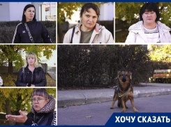 «Люди оскотинились»: обращавшиеся к Путину зоозащитники призвали Балицкого отказаться от отстрела бродячих псов