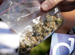 Житель Энергодара носил с собой целый пакет конопли