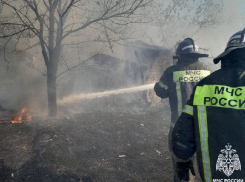 Жилые дома чуть не сгорели из-за крупного возгорания сухой травы в Запорожской области