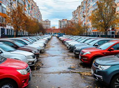 В Запорожской области приняли закон о специальных стоянках для машин