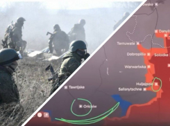 Рёпке: ВС РФ берут в клещи Гуляйполе и готовят котёл под Ореховым