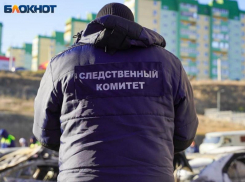 Разбросанные по двору части тела 63-летнего мужчины нашли в Акимовском районе 