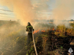 Костры строго запретили разжигать в Запорожской области 5 октября