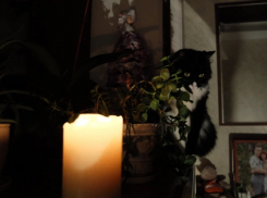 Часть Запорожья осталась без света после удара ВС РФ по объектам ВСУ