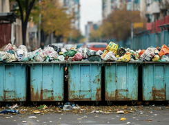 Систему сбора отходов запустили в школах Запорожской области