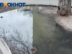 Канализационное озеро образовалось возле общежития Мелитопольского госуниверситета