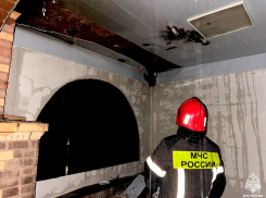 Дознаватели МЧС расследовали больше 4700 пожаров в Запорожской области в 2024 году