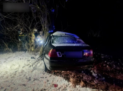 BMW на полной скорости влетел в дерево в Запорожье