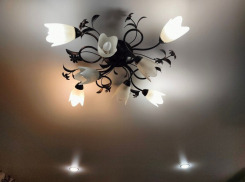 Новая авария на электросетях внезапно произошла в Васильевском округе, но есть нюанс