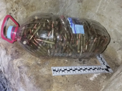 Более 800 патронов изъяли полицейские у жителя Бердянского района