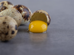 Жительница Мелитополя купила продукты в местном супермаркете и заразилась сальмонеллёзом