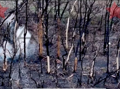 «Обманули смерть»: появились уникальные кадры захвата позиций ВСУ на Запорожском фронте