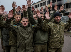 Комбриг ВСУ свалил вину за погибших и пропавших боевиков на других командиров под Гуляйполем