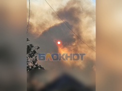 Крупный лесной пожар произошёл в Каменке-Днепровской после артобстрела ВСУ