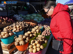 Военкоры обвинили властей Запорожья в игнорировании гуманитарной катастрофы