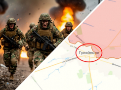 Боевики ВСУ сбежали со своих позиций в Гуляйполе на Запорожском фронте СВО