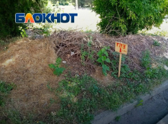 После публикации «Блокнота» трёхлетнюю свалку в Днепрорудном убрали за пару дней