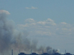 Лесной массив близ Запорожской АЭС загорелся после обстрела ВСУ