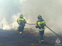 В Запорожской области настрого запретили разводить костры