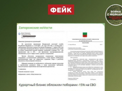 Власти опровергли информацию о передаче доходов запорожских предприятий на нужды СВО