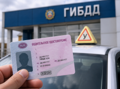 Как получить и поменять водительские права в Запорожской области