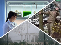 Новости Запорожья: солдат ВСУ словил «приход», преображение площади Победы и находка учёных в Мелитополе