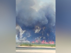 Экологи подняли тревогу из-за крупного пожара на бывшем Каховском водохранилище у Запорожья