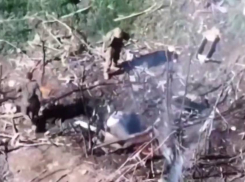 Дмитрий Рогозин показал эпичное видео уничтожения расчёта РЭБ ВСУ