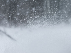 Штормовое предупреждение объявлено из-за сильного ветра и метели в Запорожской области