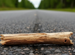 ВСУ начали маскировать мины под ветки деревьев в Запорожской области