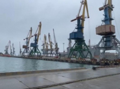 Бердянский порт могут передать инвестору уже в 2025 году